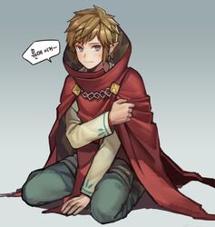 link from nintendo by mmimmemm