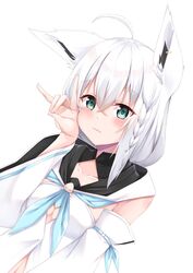 shirakami fubuki from hololive