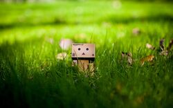 danbo from yotsubato! by mini