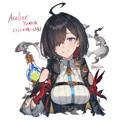 atelier (series) fan art