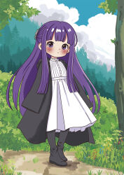 fern (sousou no frieren) from sousou no frieren