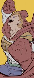 togata mirio from boku no hero academia