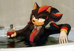 shadow the hedgehog from sonic (series)