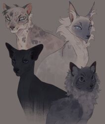 bluestar (warrior cats) from warrior cats