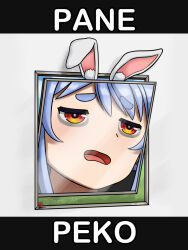 usada pekora from hololive