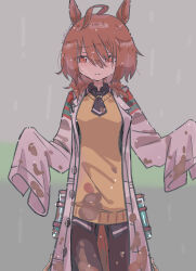 agnes tachyon (umamusume) from umamusume