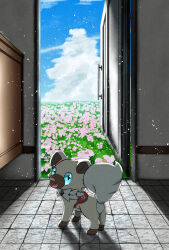 rockruff from pokemon
