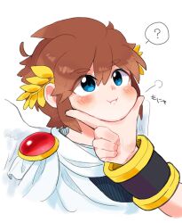 dark pit from kid icarus