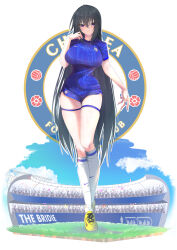 chelsea fc fan art