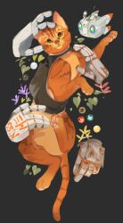 ginger (stray) from stray (game)