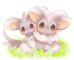 cinccino from pokemon by moka-momaka