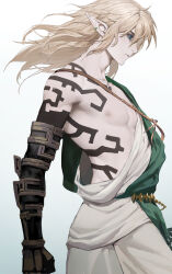 link from the legend of zelda by diaodiao