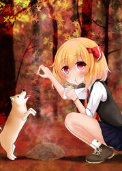 rumia from touhou by koji (kohei66)