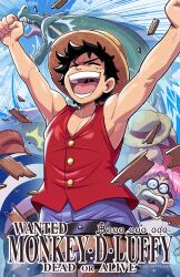koby (one piece) from one piece by mike luckas
