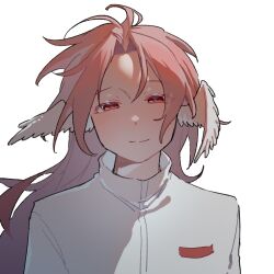 hatsutori hajime from saibou shinkyoku