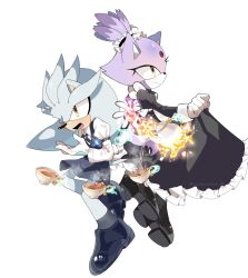 blaze the cat from sonic (series) by cookiecream 00