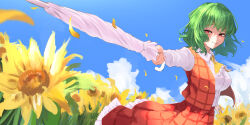 kazami yuuka from touhou