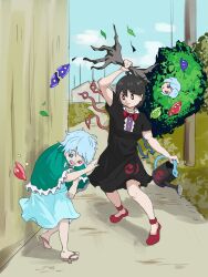 houjuu nue from cookie (touhou)