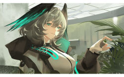 infection monitor (arknights) from arknights