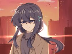honkai (series) fan art