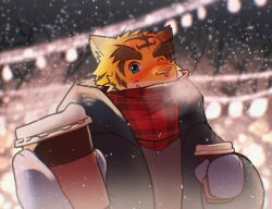 torahiko oshima from morenatsu
