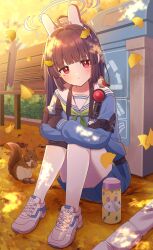 miyu (blue archive) from blue archive