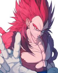 vegeta from dragon ball