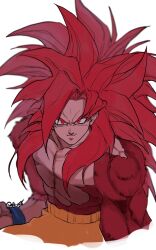 son goku from dragon ball