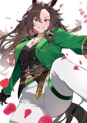 umamusume fan art