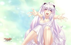 mimel (agarest senki zero) from agarest senki (series) by hirano katsuyuki