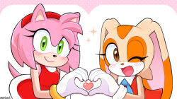 amy rose from sonic (series) by hobi (4622j)
