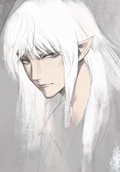 elezen from final fantasy