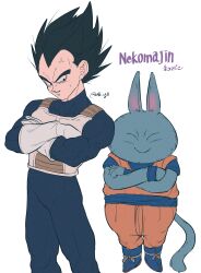 vegeta from dragon ball
