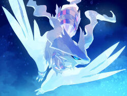 reshiram from pokemon by fusenryo