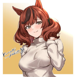 nice nature (umamusume) from umamusume