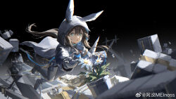 amiya (arknights) from arknights