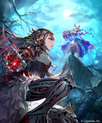 shadowverse fan art