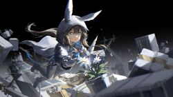 amiya (arknights) from arknights