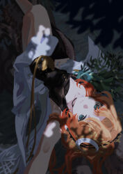 druvis iii from reverse:1999