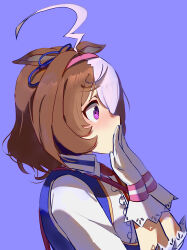 meisho doto (umamusume) from umamusume by no uwazumi