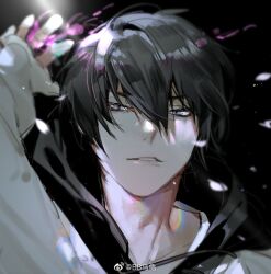 hibari kyouya from katekyo hitman reborn