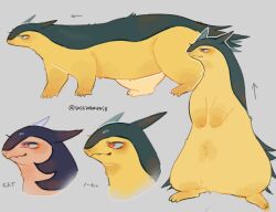 hisuian typhlosion from pokemon