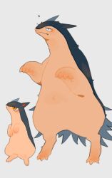 quilava from pokemon