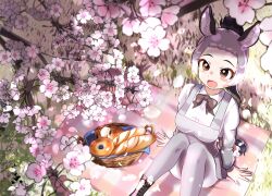 donkey (kemono friends) from kemono friends