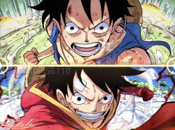 monkey d. luffy from one piece