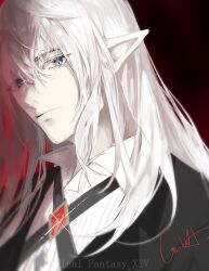 elezen from final fantasy
