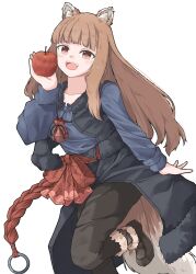 holo from spice and wolf