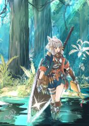 nia (xenoblade) from monster hunter (series)