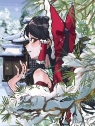 hakurei reimu from touhou
