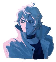 ogami shirou from brand new animal
